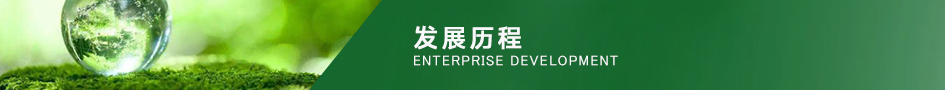发展历程2.jpg